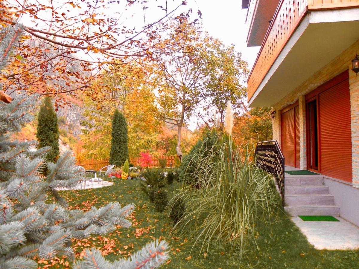 Vila Alexander B&B Valbone Exterior foto
