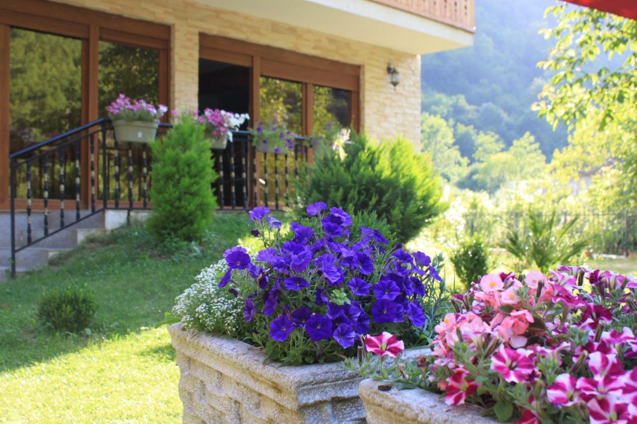 Vila Alexander B&B Valbone Exterior foto